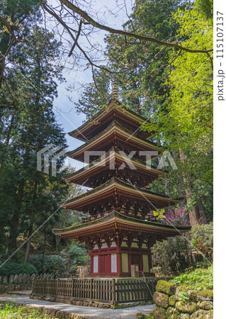 奈良 室生寺 新緑に包まれた五重塔 115107137