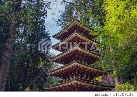 奈良 室生寺 新緑に包まれた五重塔 115107138