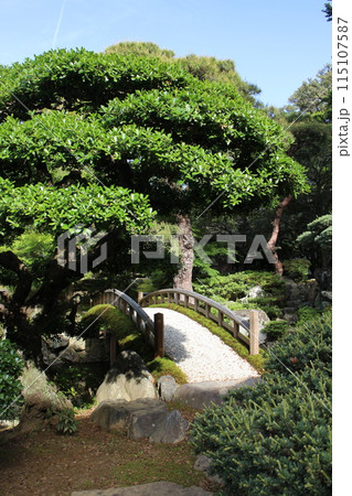 京都御所　御内庭 115107587