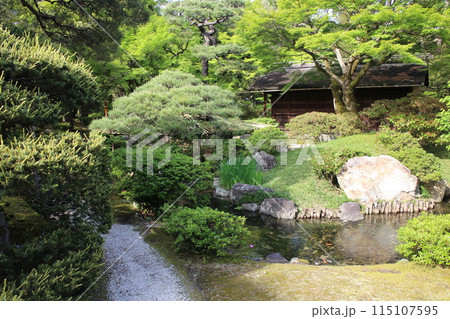 京都御所　御内庭 115107595