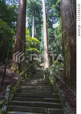 奈良 室生寺 奥の院参道の風景 115108129