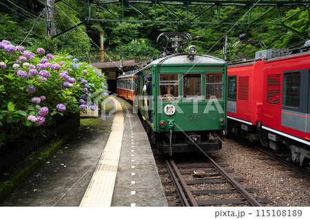 あじさい咲く 箱根登山鉄道 あじさい咲く 箱根登山鉄道 115108189