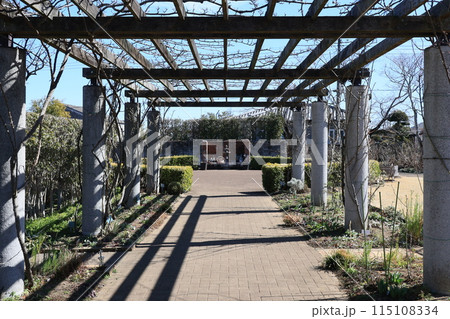 埼玉県鴻巣市花久の里の風景 115108334