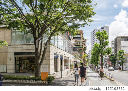 代官山のメインストリート　八幡通り沿いのファッショナブルな街並み　東京都渋谷区 115108782