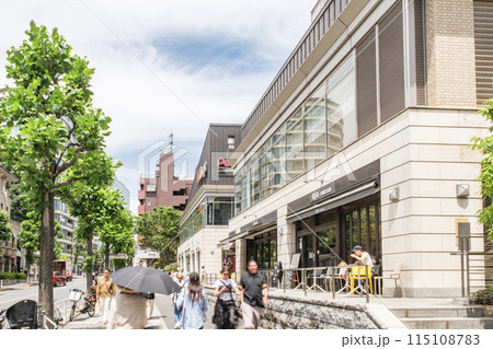 代官山のメインストリート　八幡通り沿いのファッショナブルな街並み　東京都渋谷区 115108783