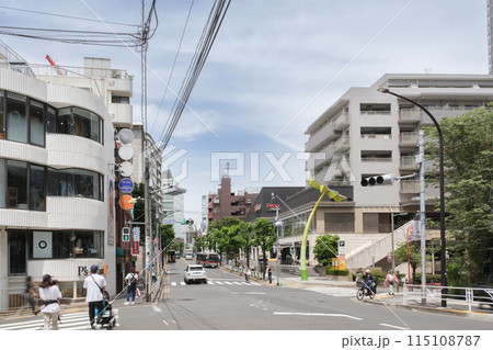 代官山のメインストリート　八幡通り沿いの街並み　東京都渋谷区 115108787