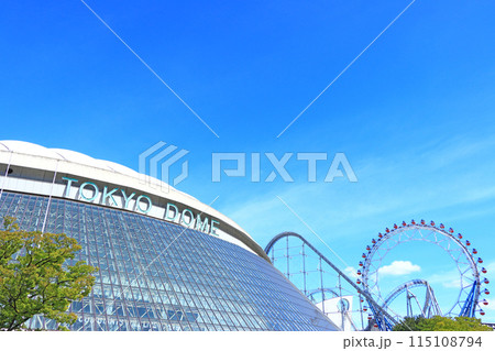東京都文京区、東京ドームと東京ドームシティアトラクションズの風景 東京都文京区、東京ドームと東京ドームシティアトラクションズの風景 115108794