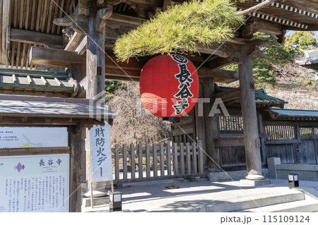長谷寺の山門 長谷寺の山門 115109124
