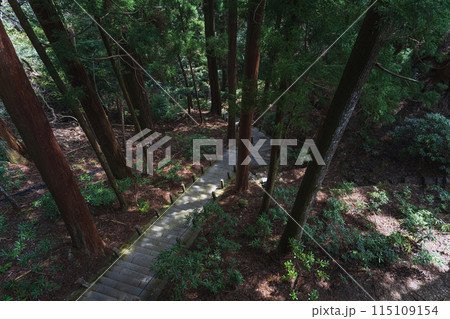奈良 室生寺 奥の院 木立の中の参道風景 115109154