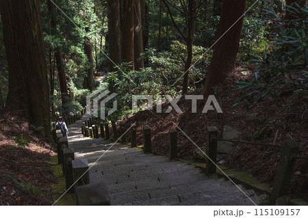 奈良 室生寺 奥の院 木立の中の参道風景 115109157