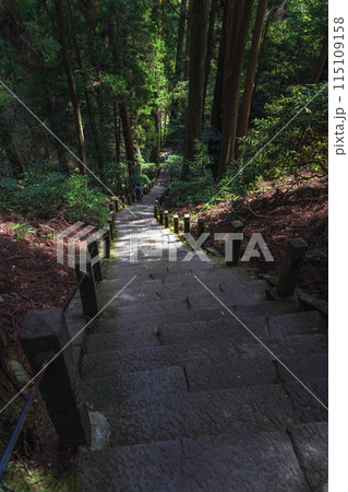 奈良 室生寺 奥の院 木立の中の参道風景 115109158