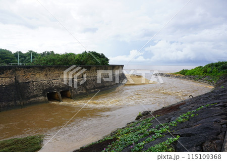 環境汚染　豪雨で川が汚れる 115109368
