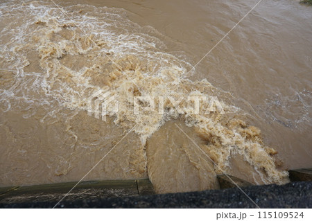 沖縄の川、海。環境問題 沖縄の川、海。環境問題 115109524