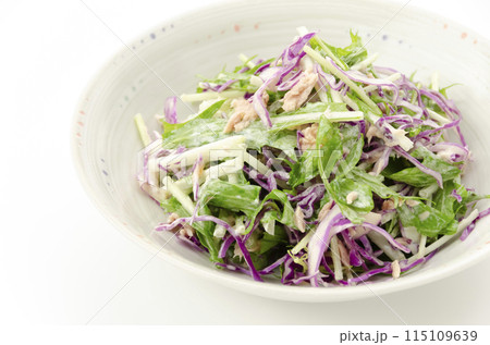 ムラサキキャベツと水菜のサラダ 115109639