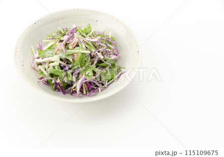 ムラサキキャベツと水菜のサラダ ムラサキキャベツと水菜のサラダ 115109675
