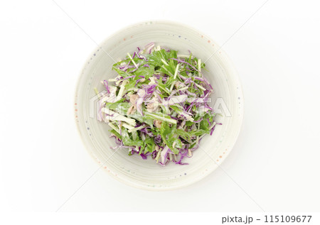 ムラサキキャベツと水菜のサラダ 115109677