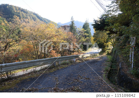 栃木県日光市の旧神子内小学校の風景 栃木県日光市の旧神子内小学校の風景 115109842