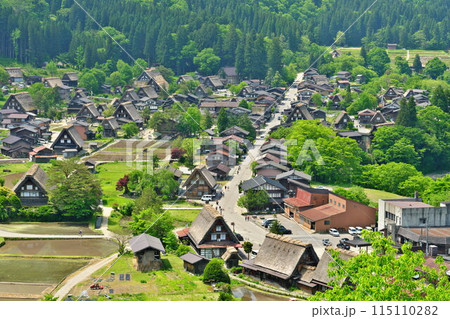 初夏の白川郷 荻町城跡展望台から新緑に彩られた合掌集落を望む 初夏の白川郷 荻町城跡展望台から新緑に彩られた合掌集落を望む 115110282