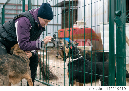 Girl volunteer in the nursery for dogs. Shelter for stray dogs. 115110610