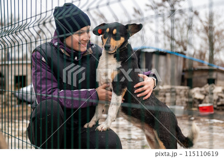 Girl volunteer in the nursery for dogs. Shelter for stray dogs. Girl volunteer in the nursery for dogs. Shelter for stray dogs. 115110619