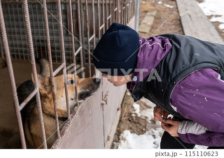 Girl volunteer in the nursery for dogs. Shelter for stray dogs. 115110623