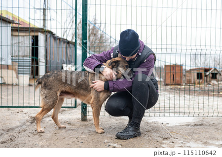Girl volunteer in the nursery for dogs. Shelter for stray dogs. Girl volunteer in the nursery for dogs. Shelter for stray dogs. 115110642
