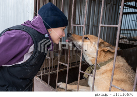 Girl volunteer in the nursery for dogs. Shelter for stray dogs. Girl volunteer in the nursery for dogs. Shelter for stray dogs. 115110676