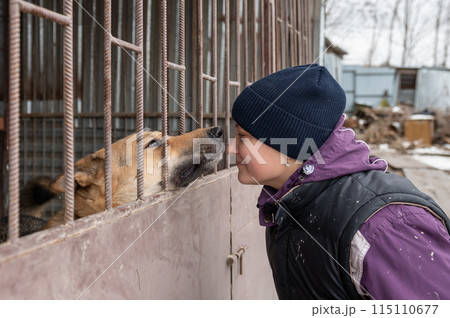 Girl volunteer in the nursery for dogs. Shelter for stray dogs. Girl volunteer in the nursery for dogs. Shelter for stray dogs. 115110677