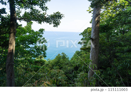 駟馳山の登山道から見た景色(山陰海岸ジオパーク) 駟馳山の登山道から見た景色(山陰海岸ジオパーク) 115111003
