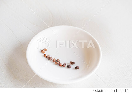 野菜の種 空心菜 野菜の種 空心菜 115111114