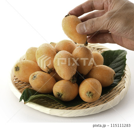 初夏の味覚　びわ （香川県産）大薬王樹 白背景 115111283