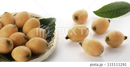 初夏の味覚　びわ （香川県産）大薬王樹 白背景 115111291