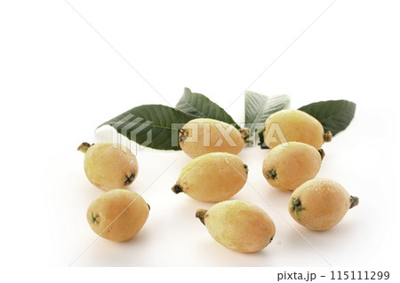 初夏の味覚　びわ （香川県産）大薬王樹 白背景 115111299