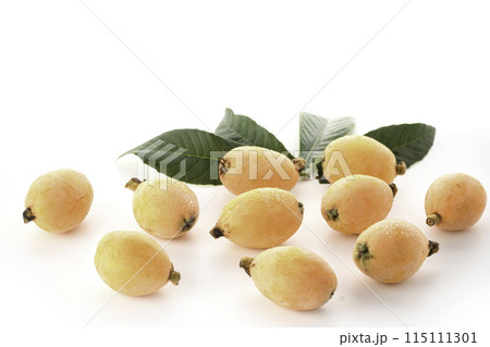 初夏の味覚　びわ （香川県産）大薬王樹 白背景 115111301