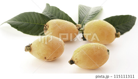 初夏の味覚　びわ （香川県産）大薬王樹 白背景 115111311
