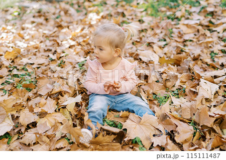 Little girl sits among the fallen leaves in the park and looks away Little girl sits among the fallen leaves in the park and looks away 115111487