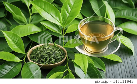 よく冷えたおいしい緑茶 よく冷えたおいしい緑茶 115111943