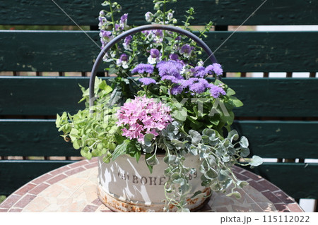 ピンクと紫色の花の寄せ植え 115112022