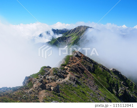 南アルプス・北岳から望む夏の間ノ岳 115112041