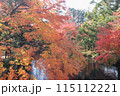 湯布院で見る紅葉は絶景 115112221