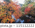湯布院の金鱗湖で見る紅葉は絶景いち 115112222