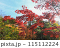 湯布院の金鱗湖で見る紅葉は絶景さん 115112224