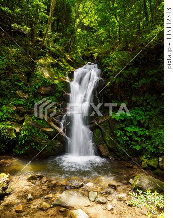 【奈良県】奈良市 鶯の滝 (2024/05/30撮影) 115112313