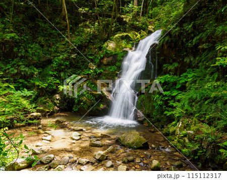 【奈良県】奈良市 鶯の滝 (2024/05/30撮影) 【奈良県】奈良市 鶯の滝 (2024/05/30撮影) 115112317