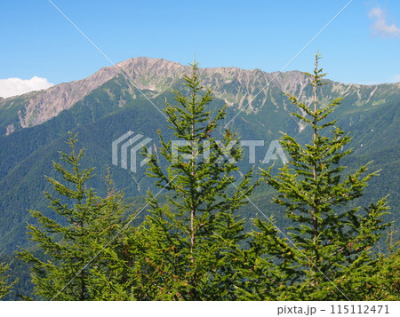 夏の南アルプス・間ノ岳 夏の南アルプス・間ノ岳 115112471