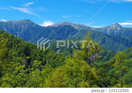 櫛形山から望む夏の南アルプス・白根三山 櫛形山から望む夏の南アルプス・白根三山 115112503