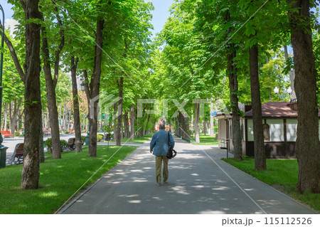 【ウクライナ】ハルキウ市内の公園内の並木路を歩く一人の男性 【ウクライナ】ハルキウ市内の公園内の並木路を歩く一人の男性 115112526