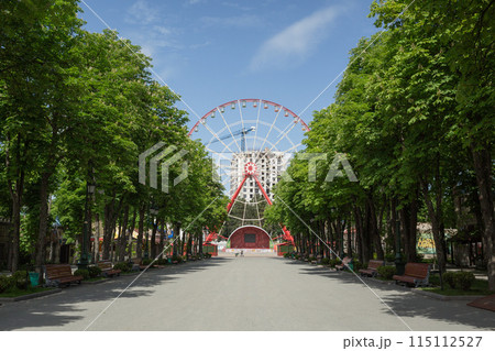 【ウクライナ】ハルキウ市内の遊園地の並木路の先に見える観覧車 【ウクライナ】ハルキウ市内の遊園地の並木路の先に見える観覧車 115112527