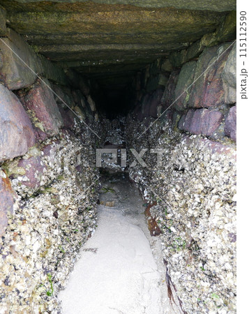 景色 風景 日本 115112590