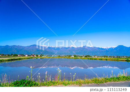 【初夏素材】初夏の安曇野の田園風景・水鏡【長野県】 115113249